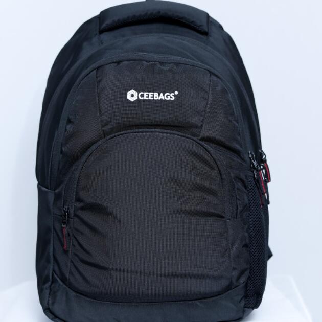 Laptop Backpack Ace LT